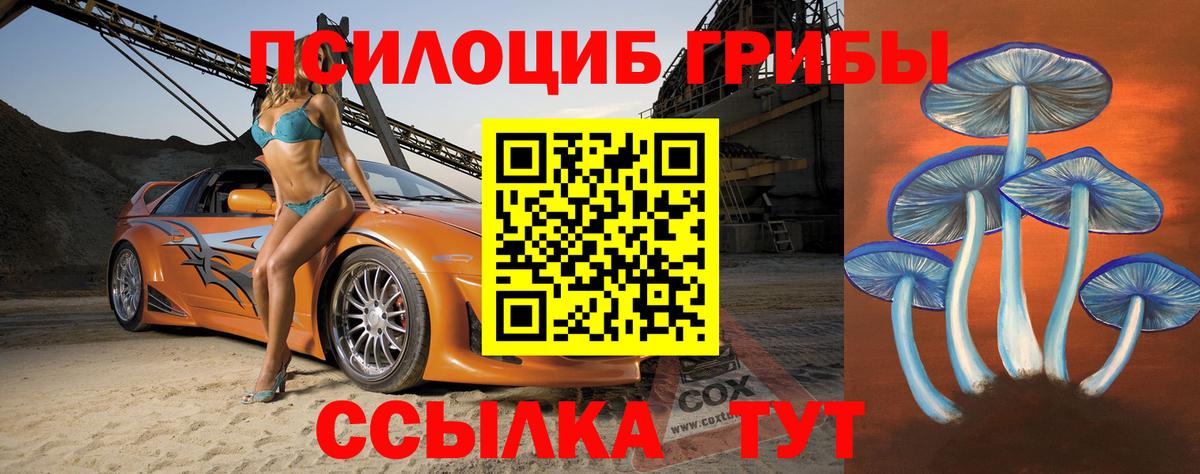 Сальск  купить закладку  Вход с VPN  Галлюциногенные грибы ЛСД  Псилоцибиновые грибы GOLDEN TEACHER 