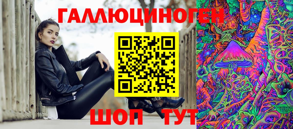 Галлюциногенные грибы Psilocybe Сальск
